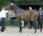 ZSE Niedersachsen Hannover 2012