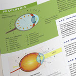 Gestaltung von Lehrmaterialien zum Thema Wirbeltierauge