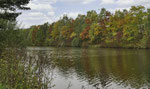 Herbstpracht. Wilfried Vogelpohl