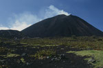 Pacaya ein aktiver Vulkan.