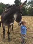 farm holidays with children