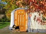 yurt massive-central