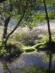 cottage to rent in france