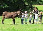 donkey farm tour