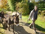 donkey ride