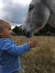 activities with children in limousin