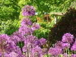 vassiviere vacation rentals