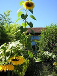 countryside nature vacation