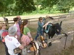 donkey trek