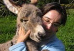 holiday with a donkey