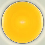 Zf lemmon-yellow 8-9 2004 (210x)