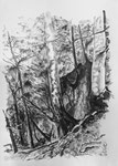 Tobelabbruch beim Bärloch, Tösstal, 29.7x42 cm, chin. Tusche u. Mischtechnik