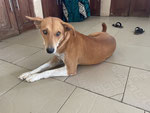 Fiona