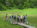 Ikenodaira Marsh