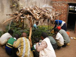 Weeding of tree nursery with Tongweni Primary School Environmental Club during monitoring
