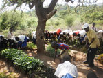 Training on tree nursery managenment in Kwakoa Primary School