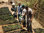 Students of Vudee Sec School watering their tree nursery