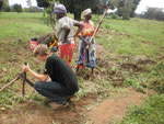 SMECAO agriculture extension officer (Massawe) and volunteer (Janis) providing technical assistance at  sunflower demo plot (Kwakoa)