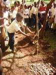How Primary School Student are involved in installation of Kibuyu Chirizi Kwakoa P/S