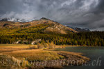 Silsersee, Engadin, CH