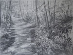 waldweg