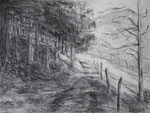 waldweg II
