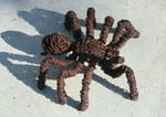 Tarantula  in iron wire, artdeev 40 cm , metal art,  sculpture d'insecte, recyclage