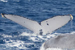 20140222b  Location:Yubanare  Photographer:Hideki Sai  G2:2014022a