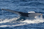 20140221b   Location:Yorojima  Photographer:Hideki Sai  CG3:20140221a,20140221c
