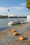 Gleich geht es aufs Schiff