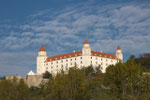 Und noch einmal die Burg