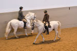 Spanische Hofreitschule