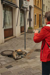 "Mann bei der Arbeit"