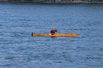 Auf der Donau
