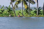 Alleppey, ses backwaters