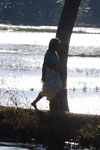 Alleppey, ses backwaters