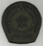 Policía Nacional de Colombia (Subdued)