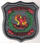 Policía Nacional de Paraguay (Genérico)