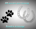 SDK Paardenmassage Den Haag
