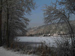 Alsdorfer Weiher, 2010 (Foto: Wolfgang Voigt)