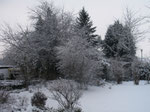 Garten im Winter 2010 (Foto: Wolfgang Voigt)