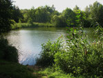 Alsdorfer Weiher, östliche Bucht (Foto: Wolfgang Voigt)