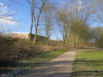Rodungen, vom Weiher aus gesehen
