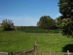 Feldflur bei Alsdorf-Schleibach (Foto: Wolfgang Voigt)