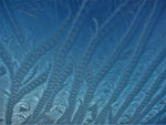 Eisblumen am Dachflächenfenster, 30. November 2019 (Foto: Wolfgang Voigt)