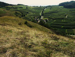 Kontraste im Kaiserstuhl - Blick vom Badberg (Foto: Wolfgang Voigt)