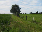 Feldflur bei Alsdorf-Duffesheide (Foto: Wolfgang Voigt)