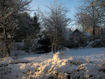 Erster Schnee im Garten (Foto: Wolfgang Voigt)
