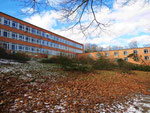 Vorsorgliche Rodung auf dem Realschul-Gelände, hier: schuleigene Streuobstwiese