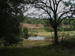 Brunssumer Heide / Niederlande (Foto: Wolfgang Voigt)